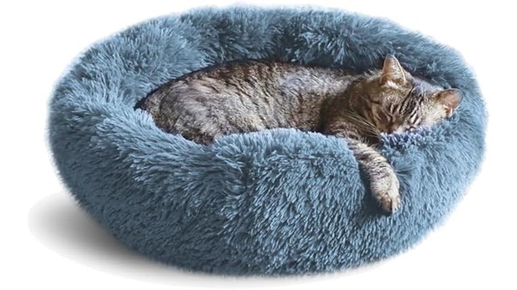 indoor cat bed design