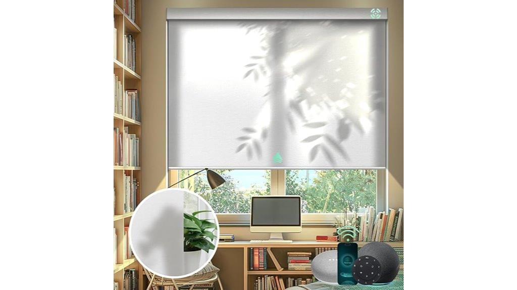 motorized remote blinds