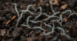 nematodes target soil pests