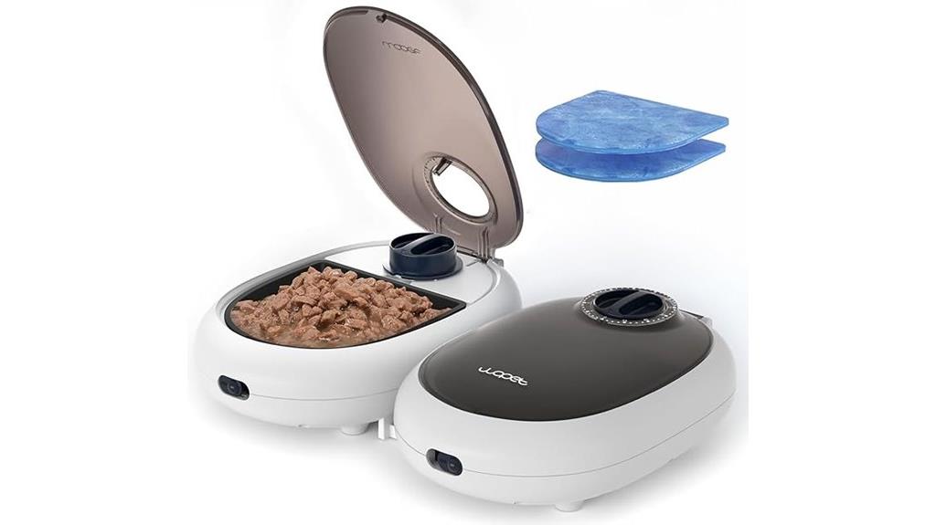 programmable automatic cat feeder