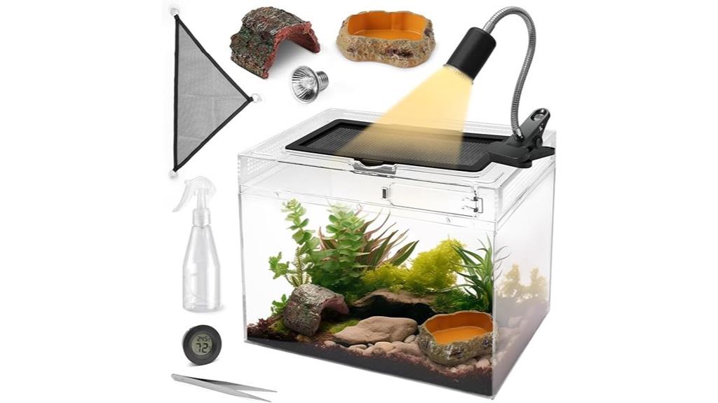 reptile terrarium with accessories