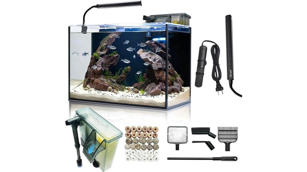 small aquarium with heater