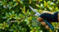 types of pruning cuts