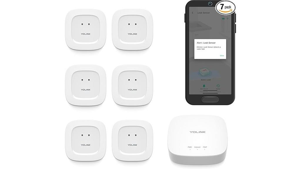 water leak detection system