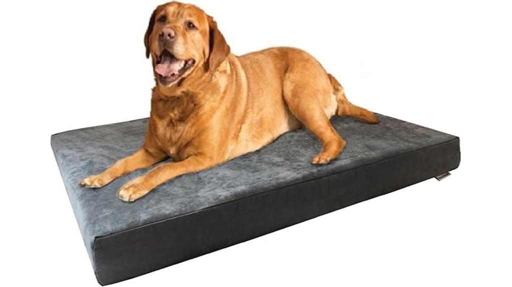 xl orthopedic memory foam