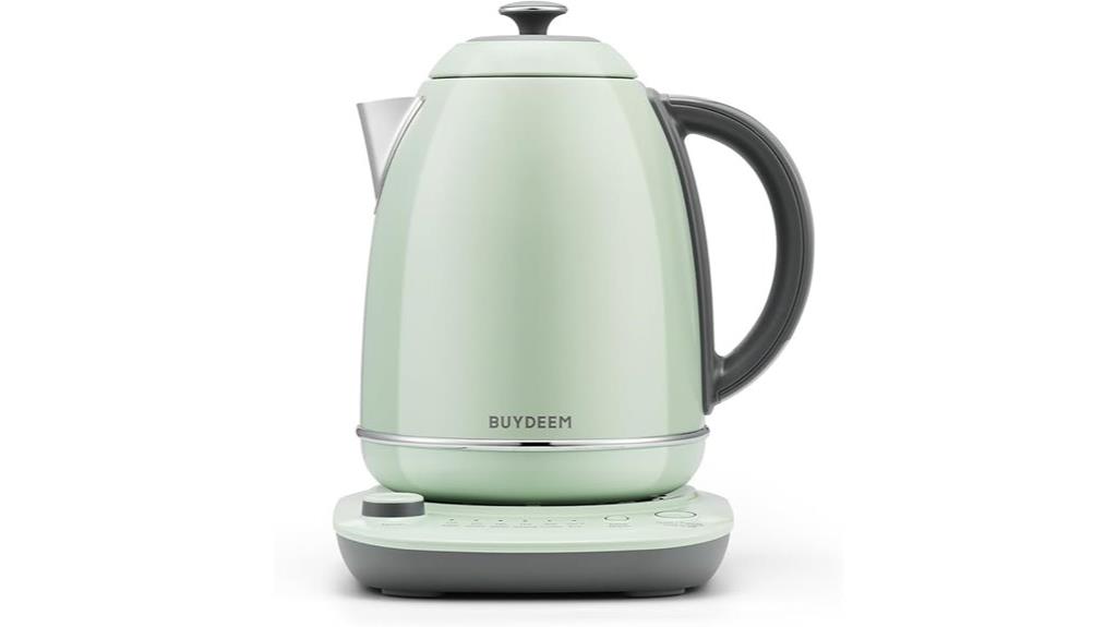 temperature control electric kettle