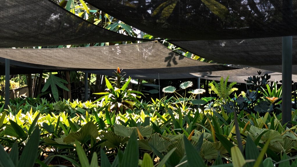 balancing light heat growth