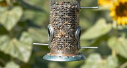 chewing spill resistant feeder