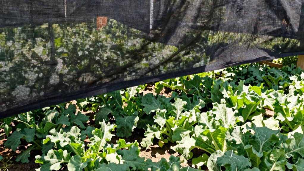 choose durable secure installation