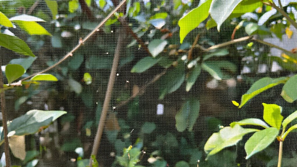 choosing durable effective mesh