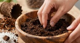 gentle quick soil blending