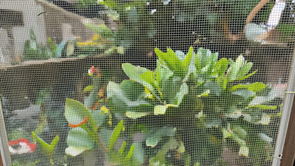 inspect patch reinforce secure