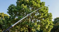 long reach tree sprayer