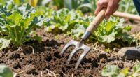 loosen soil without flipping