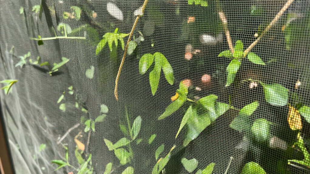 pest control and airflow