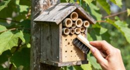 placement and cleaning tips