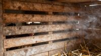 poor coop ventilation causes illness