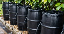 rain barrel maintenance tips