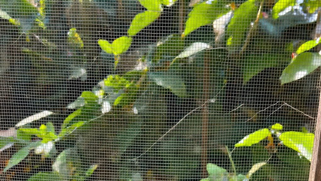 secure tensioned durable installation