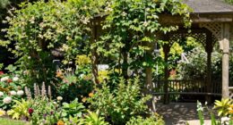 shade impacts plant health