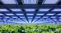 top 8 bar led grow lights
