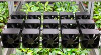 top 8 inch grow tent fans