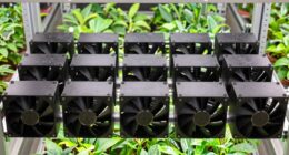 top 8 inch grow tent fans