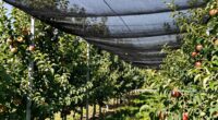 top bird netting systems