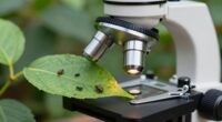 top digital microscopes 2026