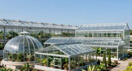 top galvanized greenhouse kits