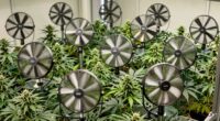 top grow tent fans