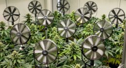 top grow tent fans