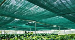 top heavy duty greenhouse shade