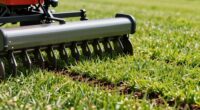 top overseeding seeder picks