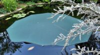 top pond cover options