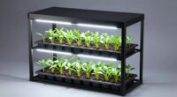 top seed starting racks