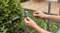 11 Best Electric Fence Kit for Deer Control in 2026