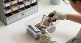 12 Best Insulated Storage Cabinets for Seeds in 2026