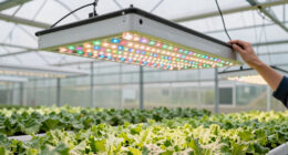 13 Best Commercial LED Grow Light for Greenhouse Supplement in 2026