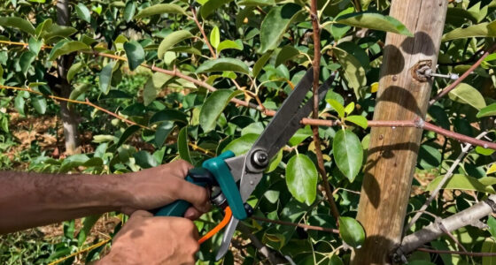 13 Best Pruning Saw for Orchard Maintenance in 2026