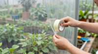13 Best Waterproof Greenhouse Tape Repair Kit in 2026