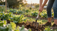 15 Best Broadfork for No Dig Gardens in 2026