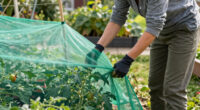 15 Best Mesh Crop Cover for Caterpillar Control in 2026