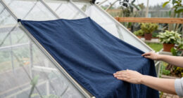 7 Best Moving Blankets for Protecting Greenhouse Panels in 2026