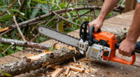 8 Best Cordless Chainsaw for Storm Damaged Limbs in 2026