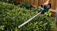 9 Best Cordless Pole Hedge Trimmers for Hedges in 2026