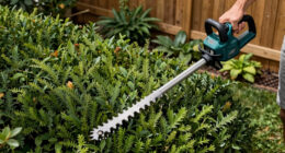 9 Best Cordless Pole Hedge Trimmers for Hedges in 2026