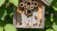 bee houses require cleaning