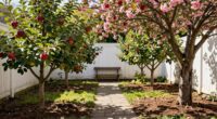 compact orchard with easy access