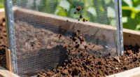 compost screen size determines usage